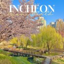 반월놀이공원 이미지