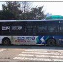 안중농협중앙지점 이미지