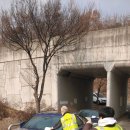 주정차-7 이미지