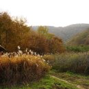 호수길 화장실 이미지