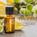 에센셜코리아