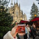 엔젤마켓 | 독일 쾰른 크리스마스마켓 비교 후기 코스 추천