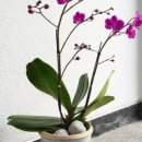 법원로3길 23 이미지