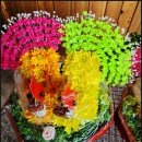 이레시스템 이미지