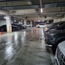 롯데시네마대구광장 | 검은수녀들 내돈내산 관람후기 :: 롯데시네마 대구광장, 출연진 정보 관람평 쿠키 없음 손익분기점 돌파