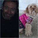 굿모닝코리아 이미지