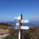수동마을 이미지