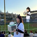 그린존피시방 | 202507.zip