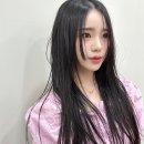 바인즈 티스토리