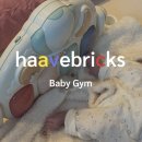 대도체육관 | 아기체육관 하베브릭스 내돈내산 아기장난감 사용후기