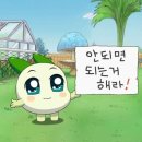 (주)네네여행 이미지