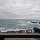 365울산누리팜 이미지