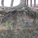 수지면 고정마을 이미지