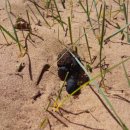 양평곤충박물관 이미지