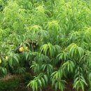 한별농장 이미지