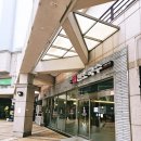 골목수제비 | [범어동 칼국수 맛집] 약전골목 원조국수 수제비 파전 후기