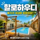 할로하우디 평택 지제역 브런치 맛집 여기가 국내야 하와이야? 진짜 리얼 맛집