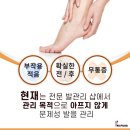 레푸스전주 이미지