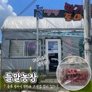 탑리농장 | [청주 맛집] &#34;들말농장&#34; 오창 방울토마토 딸기 맛집 (+ 가격정보)