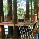 동심으로의 회귀 이미지