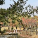 용산가족공원 주차장 화장실 이미지