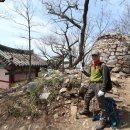 서산 황금산. 간월도. 태안 튤립빛축제장 - 전주나마스떼산악회 이미지