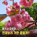 동경주IC(포항) | 경주 불국사 근처 맛집 소고기 단체 가족외식 가성비