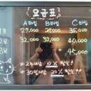 홀릭캣 이미지