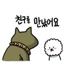 땡자애견 이미지