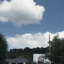 샤멍샤멍 | [가평애견펜션] 보보애견풀빌라 내돈내산 솔직후기 (애견수영장/가격/위치)