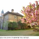 양림동둘레길 이미지
