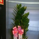 문 스테이 이미지