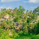 핑크비치 이미지