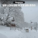 원대로카 | 나고야 공항 렌트카 이용 후기 및 일본 렌트 꿀팁 총정리