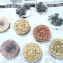 분당장애인자립생활센터 이미지