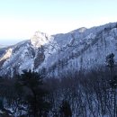 금 성 Daum카페
