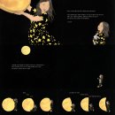 달케이크 이미지