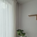 부산화소반