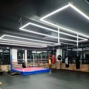 BMG 복싱 이미지