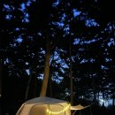 천변남로 | 고창 2박3일 여행 후기 / 고창 구시포 노을캠핑장