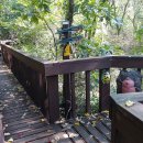 운곡생태습지길 1코스 이미지