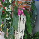 장항 경로당 이미지