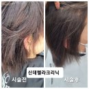 요술공주 미용실