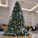 쿠퍼비전코리아(주) 이미지