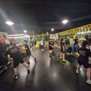 Bee Boxing Gym 이미지