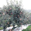 학골농장 이미지