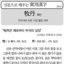 실용한자 (목단 牧丹 ) 이미지