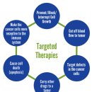 분자 표적 치료제 (Molecular targeted therapy) 이미지