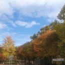 신동파인힐스 이미지