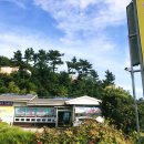 시골보리밥칼국수 이미지